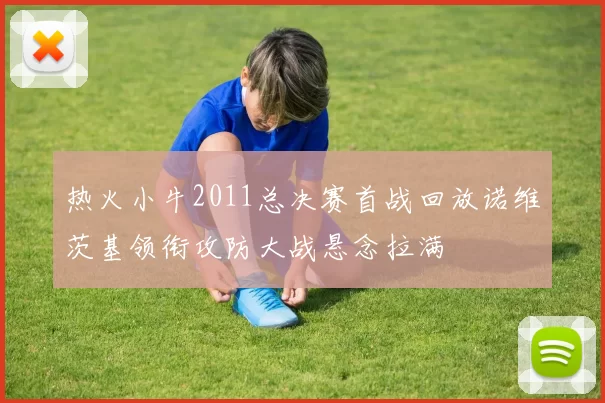 热火小牛2011总决赛首战回放诺维茨基领衔攻防大战悬念拉满