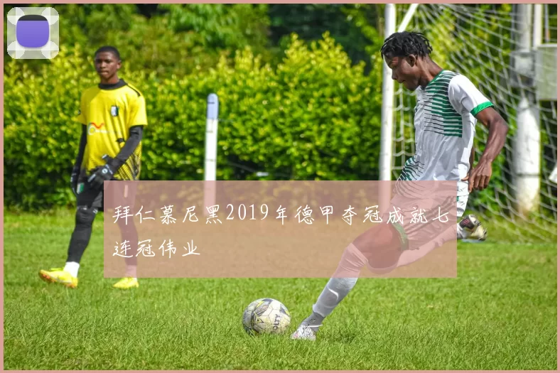 拜仁慕尼黑2019年德甲夺冠成就七连冠伟业