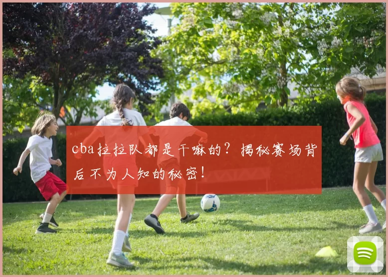 cba拉拉队都是干嘛的?揭秘赛场背后不为人知的秘密!