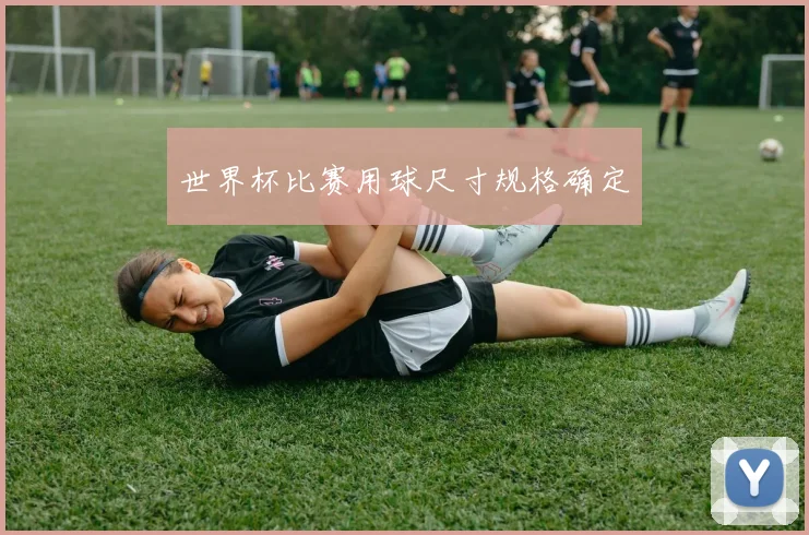 世界杯比赛用球尺寸规格确定