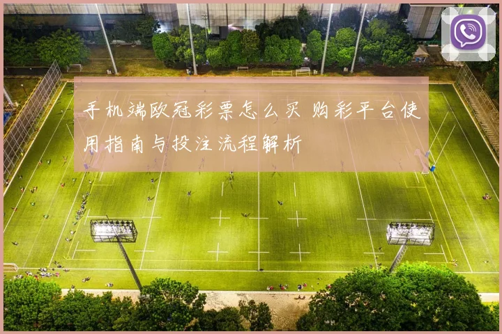 手机端欧冠彩票怎么买 购彩平台使用指南与投注流程解析